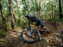 ROCKSHOX Fourche Zeb Ultimate Charger 2.1 RC2 29'' Boost 15x110 Déport 44mm 190mm Noir -Magasin De Vtt De Qualité rockshox fourche zeb ultimate charger 21 rc2 29 boost 15x110 deport 44mm 190mm noir 4